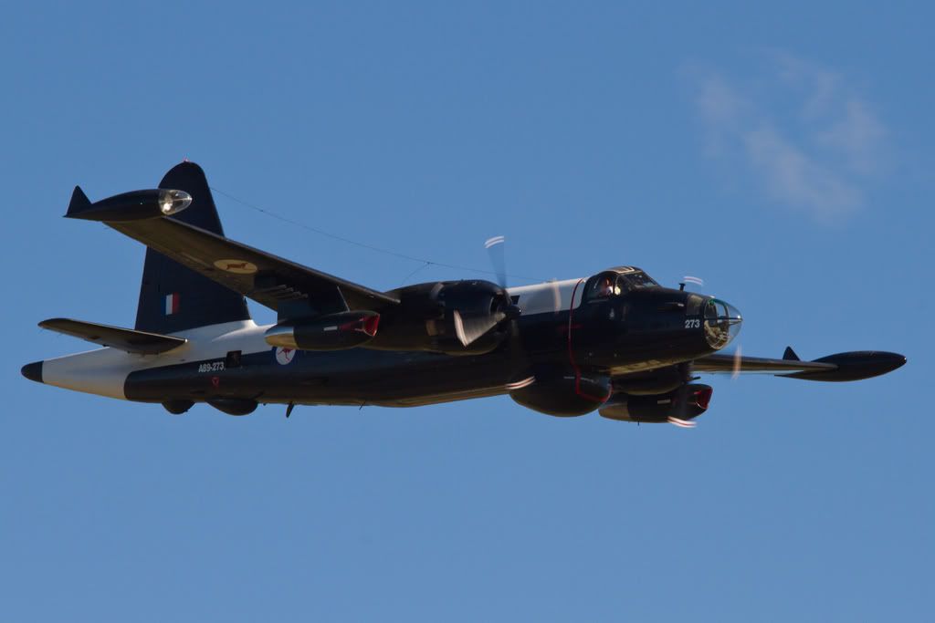 IMAGE: http://i59.photobucket.com/albums/g318/PhillipBrown/Wings%202012/IMG_6635.jpg