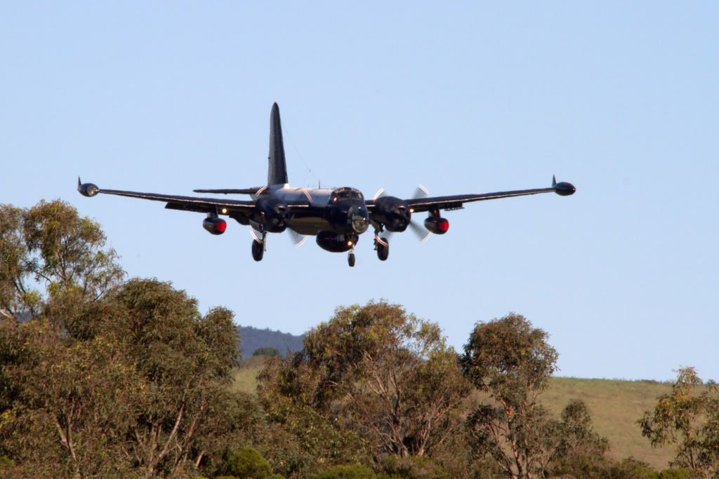 IMAGE: http://i59.photobucket.com/albums/g318/PhillipBrown/Wings%202012/IMG_6689-1.jpg