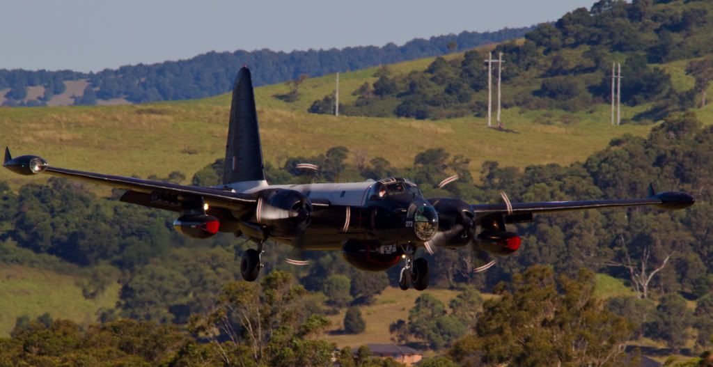 IMAGE: http://i59.photobucket.com/albums/g318/PhillipBrown/Wings%202012/IMG_6696.jpg