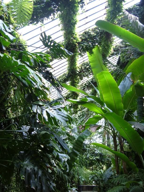 jardines
