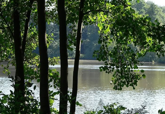 Photobucket - Video and Image Hosting