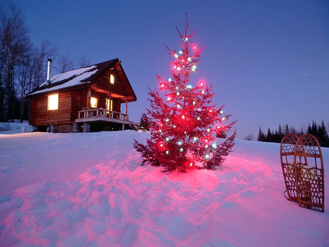 Christmas Tree Background Pictures, Images and Photos