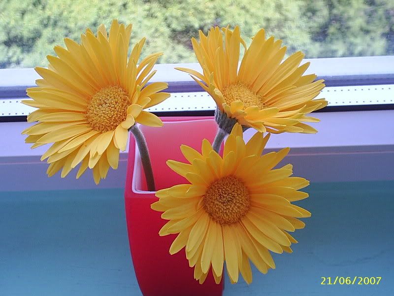 PIC_0014-3.jpg