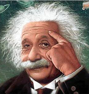 einsteinreves.jpg