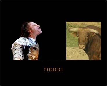 torero4.jpg