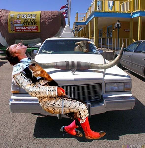 torero5.jpg