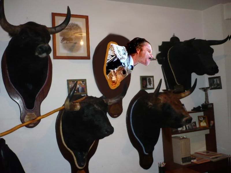 torero6.jpg