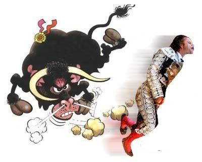 torotorero.jpg