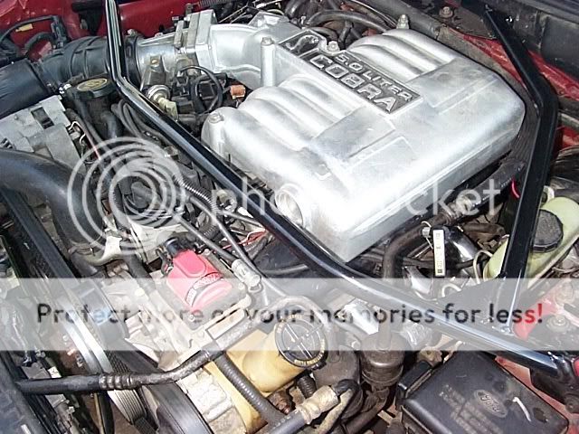 test pic of engine - MustangForums.com