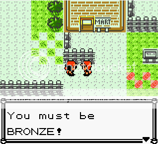 Pokemon Bronze [COMPLETED]