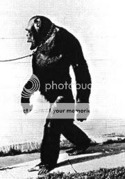 180px-Humanzee2.jpg