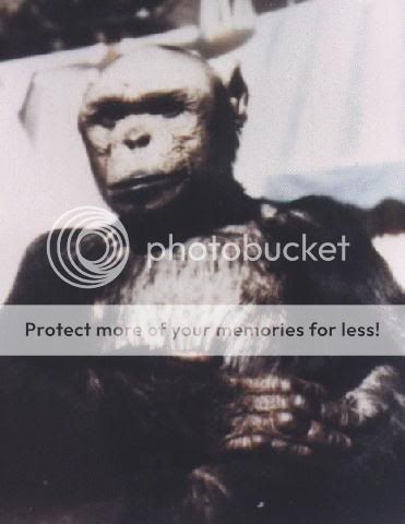 Humanzee-smaller.jpg