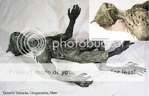 chupacabras_body.jpg