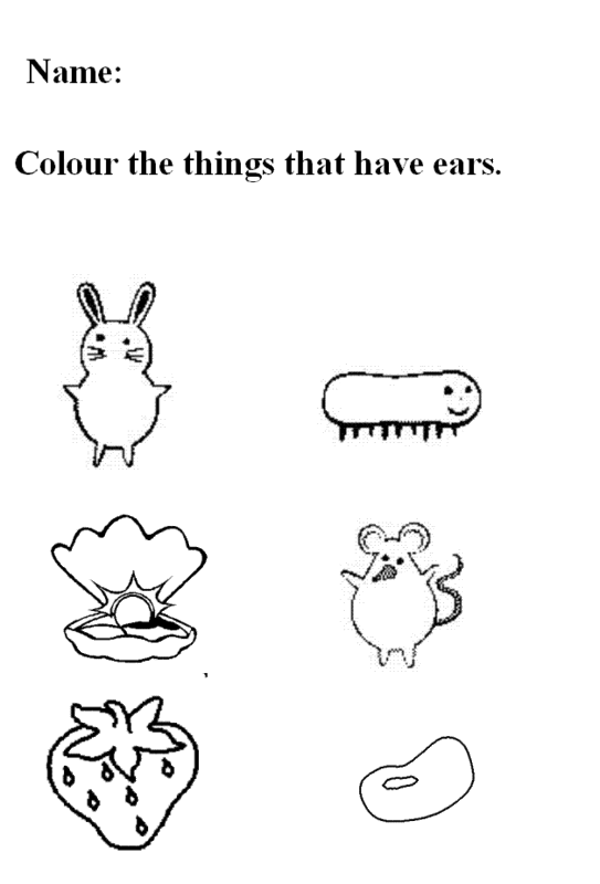 colour-ears.gif gif by khourtniey | Photobucket